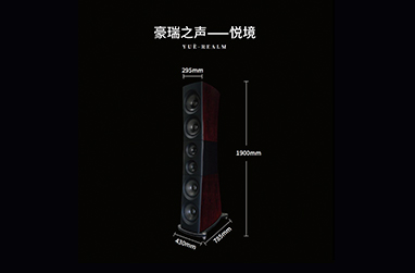 服务案例2